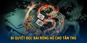 Bí quyết đọc bài Rồng Hổ cho tân thủ